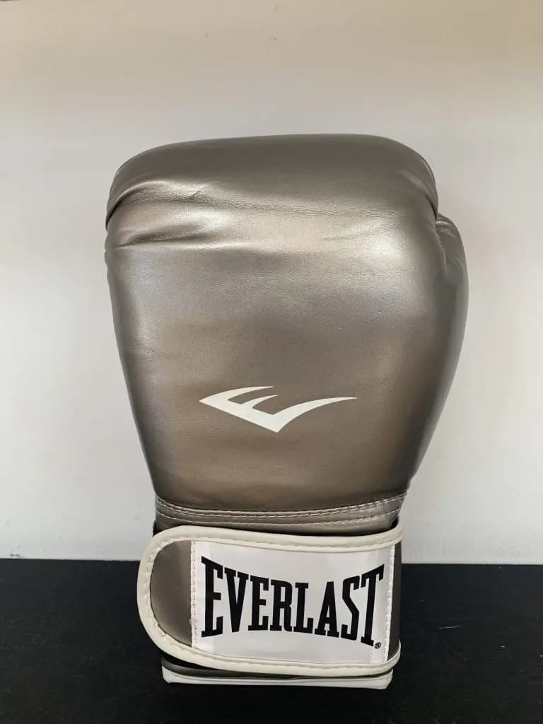 Everlast Advanced Gloves Silver