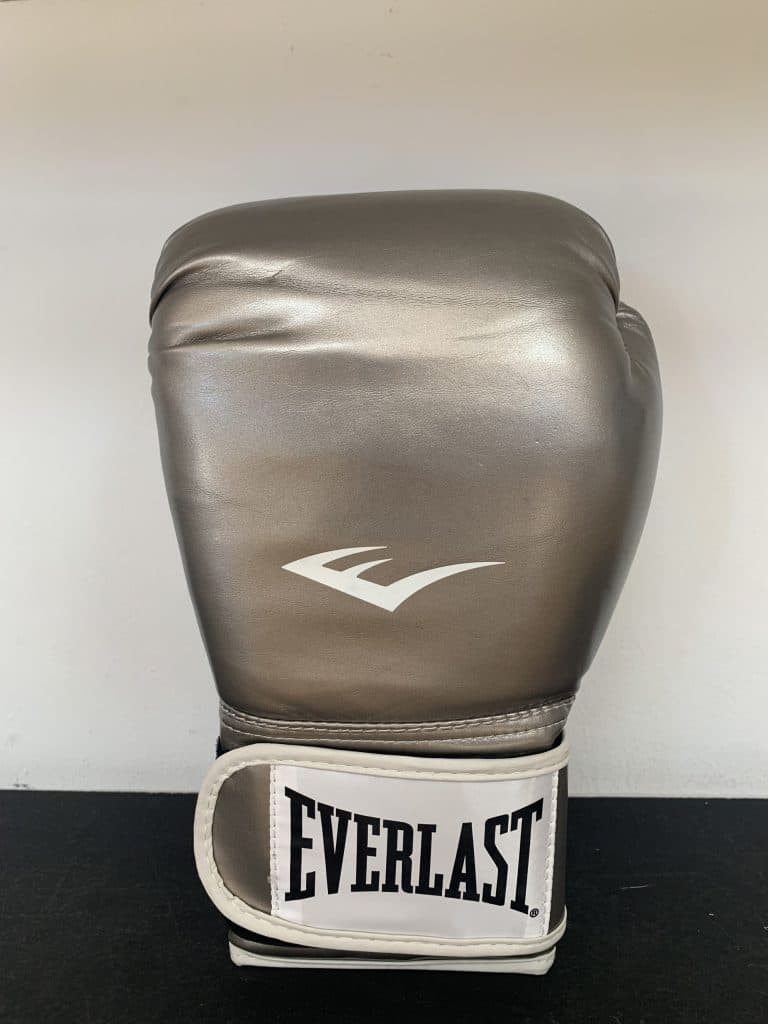 Everlast Advanced Gloves Silver